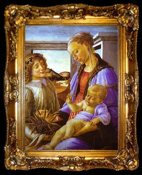 framed  Sandro Botticelli Madonna of the Eucharist, ta009-2